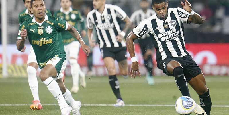 Botafogo x Palmeiras se enfrentaram no Nilton Santos