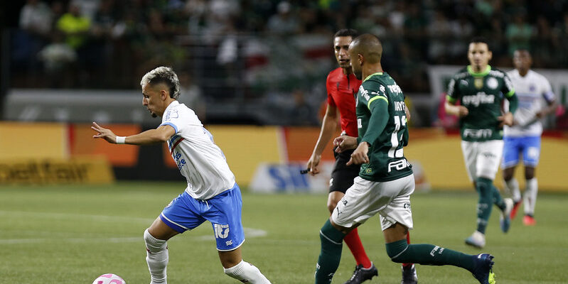 Palmeiras x Bahia medem forças pelo Brasileirão