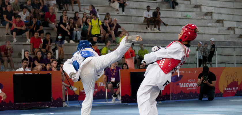 grandes nombres del taekwondo actual