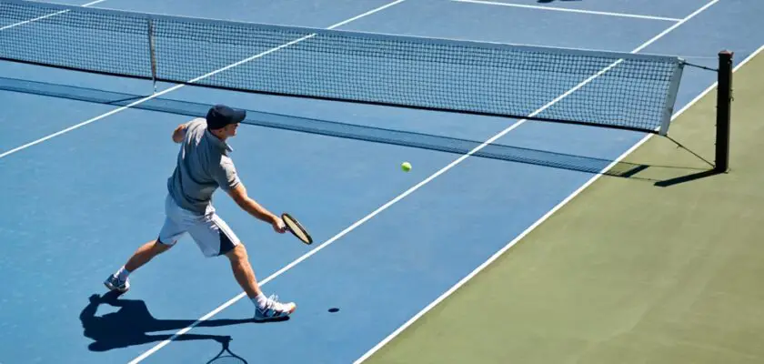 joao fonseca djokovic